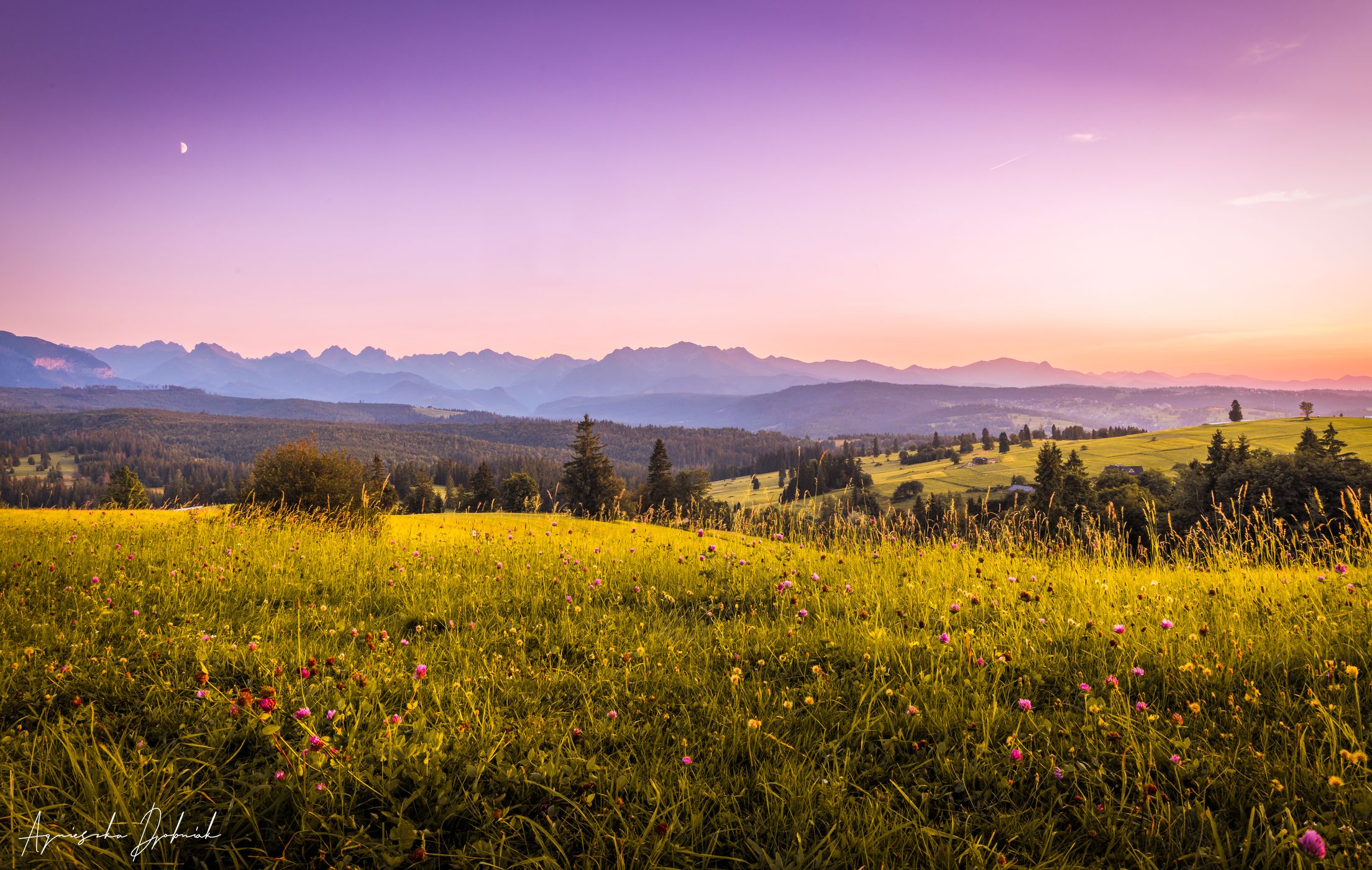 Tatra Mountains from Łapszanka Pass, Poland, Poland