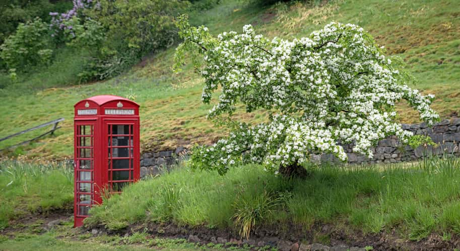 The most beautiful telephone box in the world