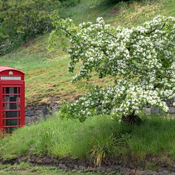 The most beautiful telephone box in the world, United Kingdom