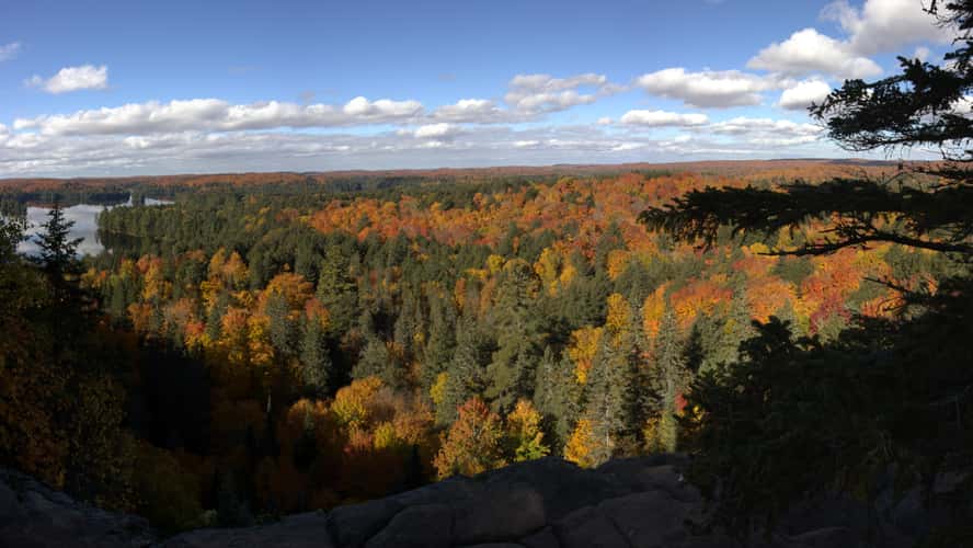 Track and Tower Trail lookout