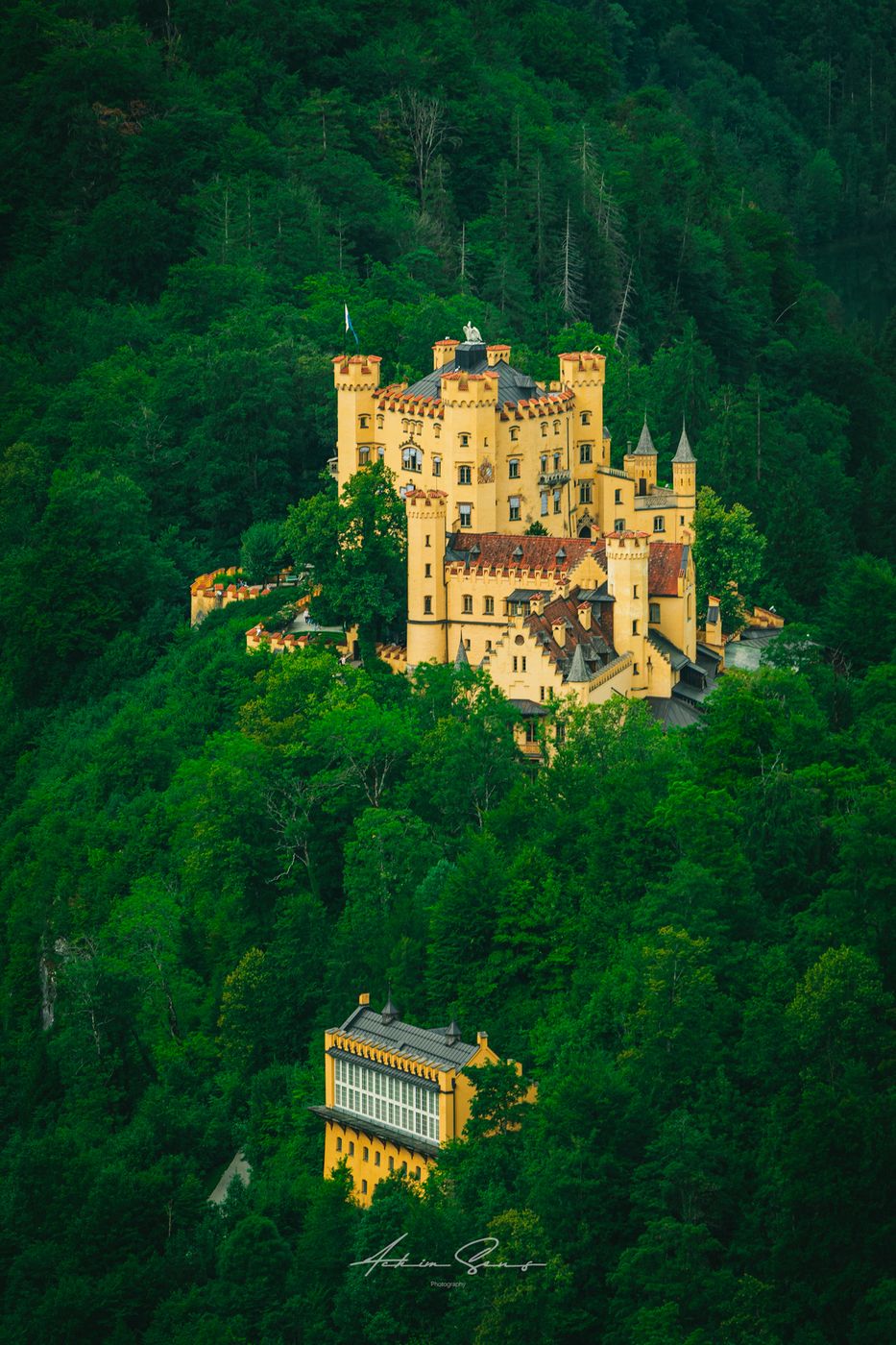 View on the Alpsee from Neuschwanstein, Germany
