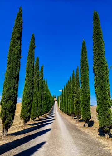 Villa du val d'Orcia