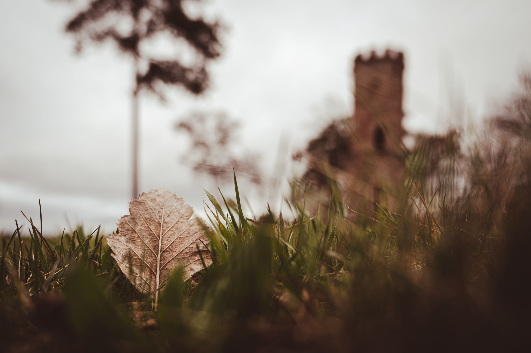 Wartturm, Germany