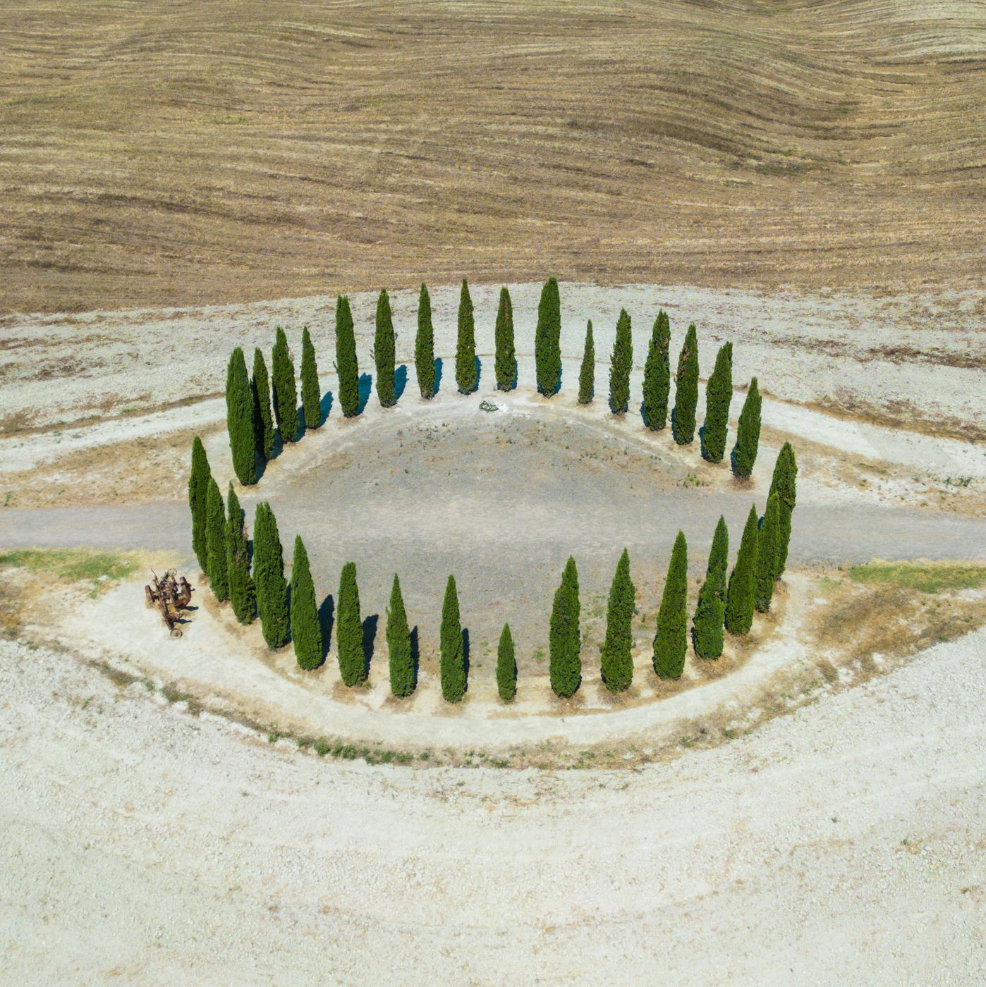 Zypressenring vor Montalcino, Italy