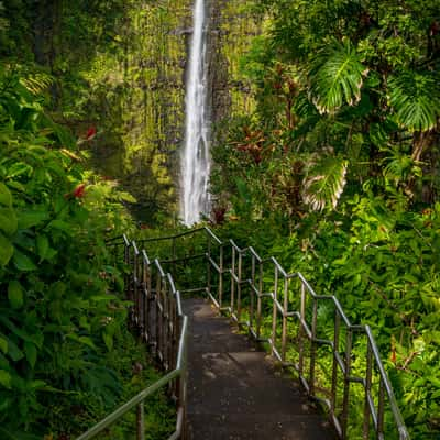 Akaka Falls State Park, USA