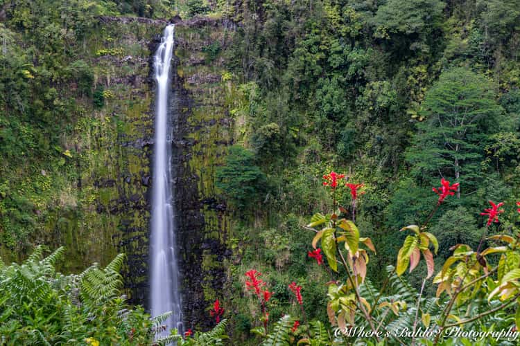 Akaka Falls State Park