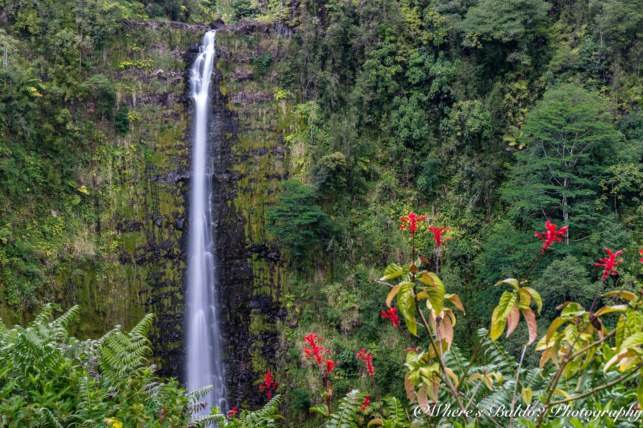 Akaka Falls State Park, USA