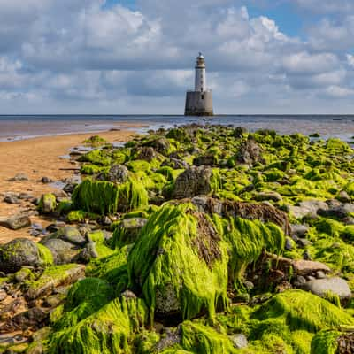 Algae Rattay Head Lighthouse, Scotland, United Kingdom