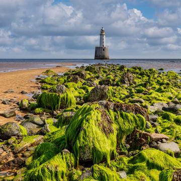 Algae Rattay Head Lighthouse, Scotland, UK, United Kingdom