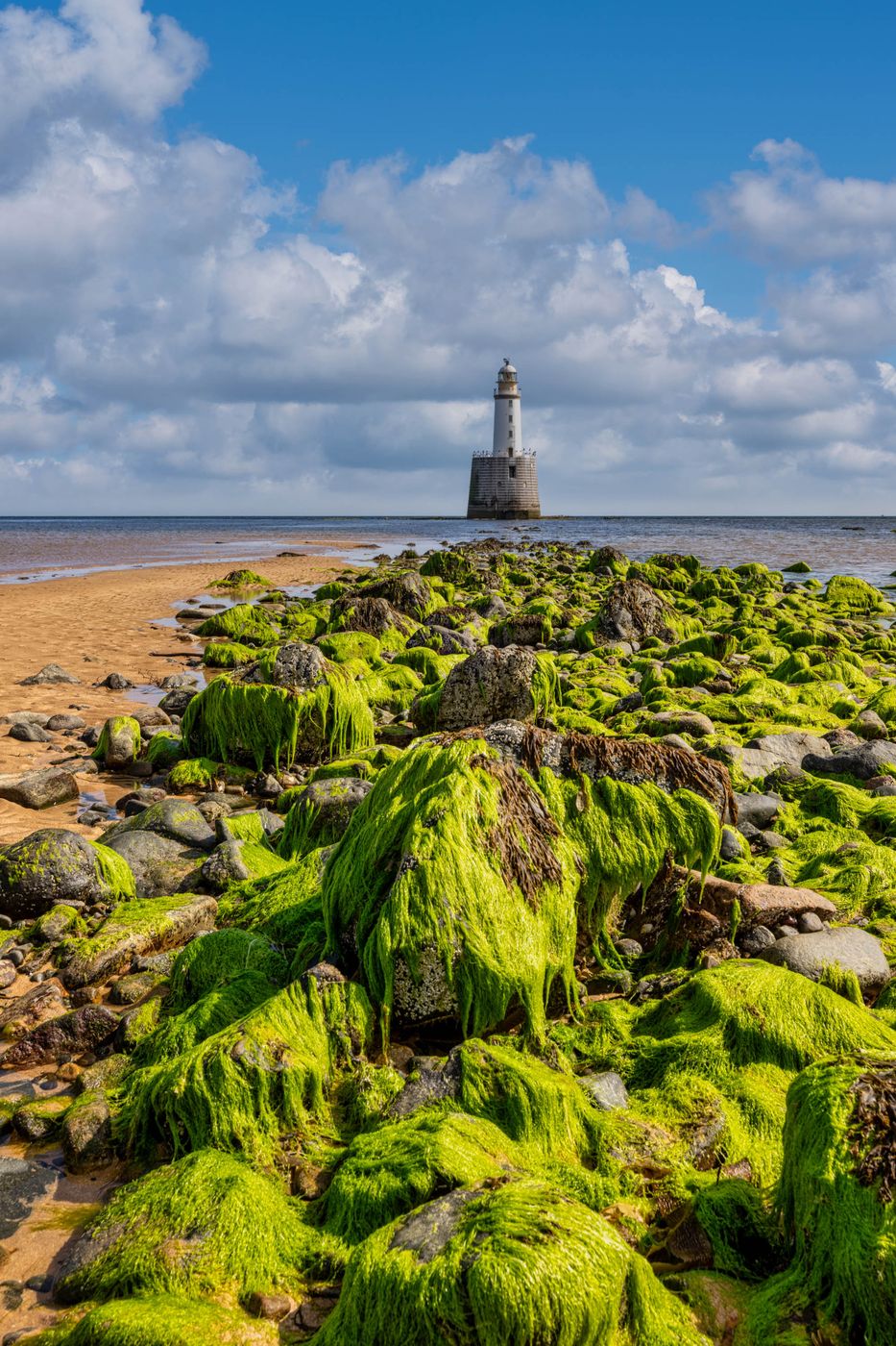Algae Rattay Head Lighthouse, Scotland, United Kingdom