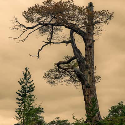 Billingen, Norway