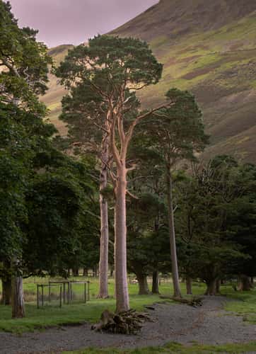 Buttermere Lake, Lake District National Park