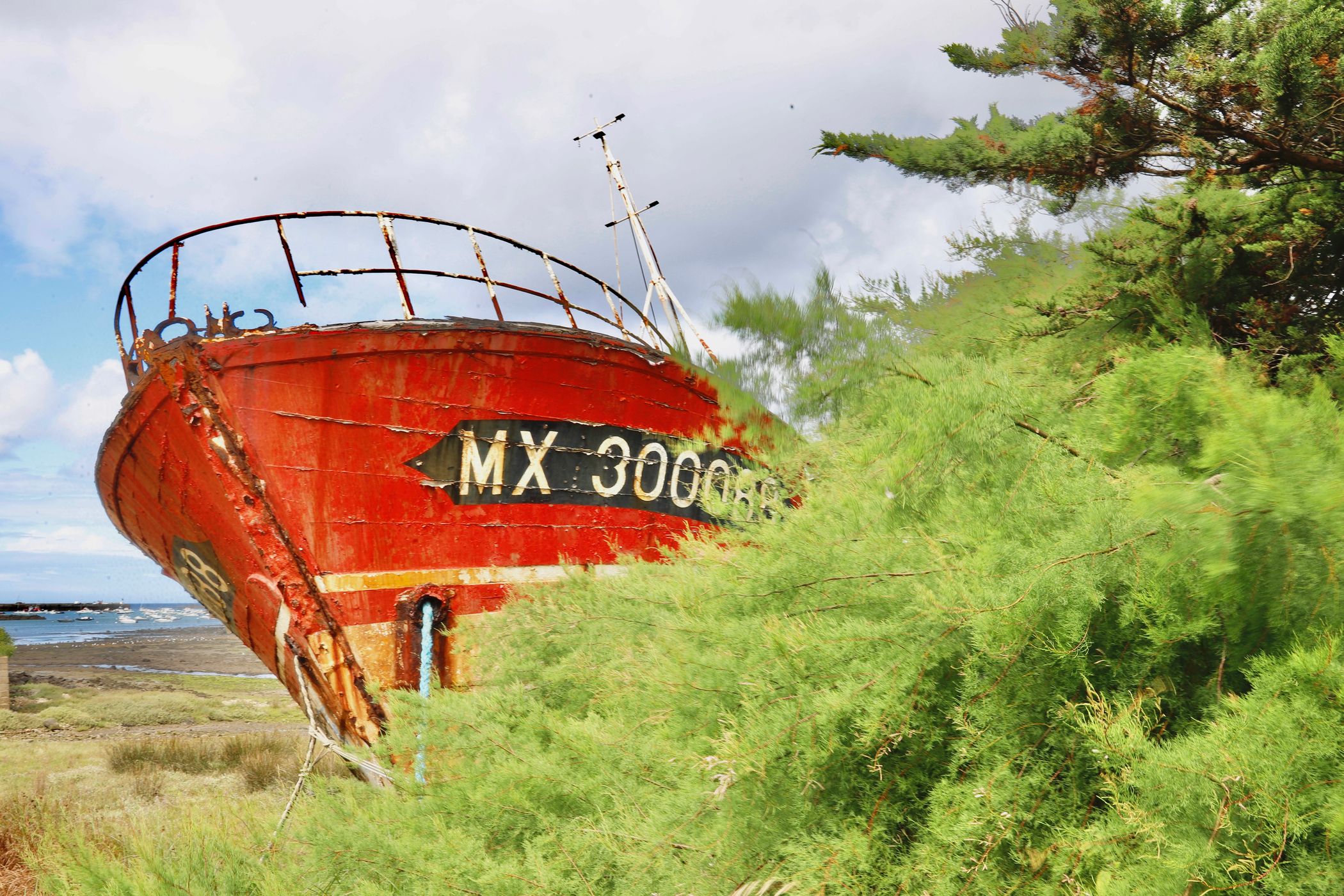 Cimetière de bateaux/ Ship cemetery, France