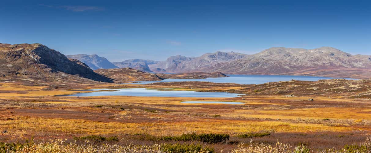Flævatn