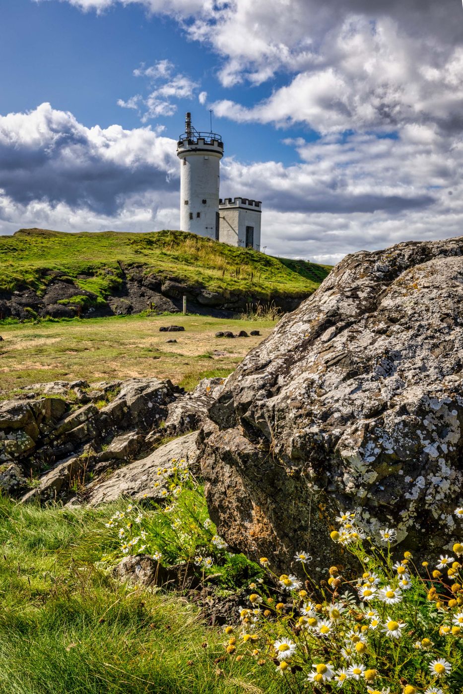 Flowers,Elie Ness Lighthouse, Leven , Scotland, UK, United Kingdom