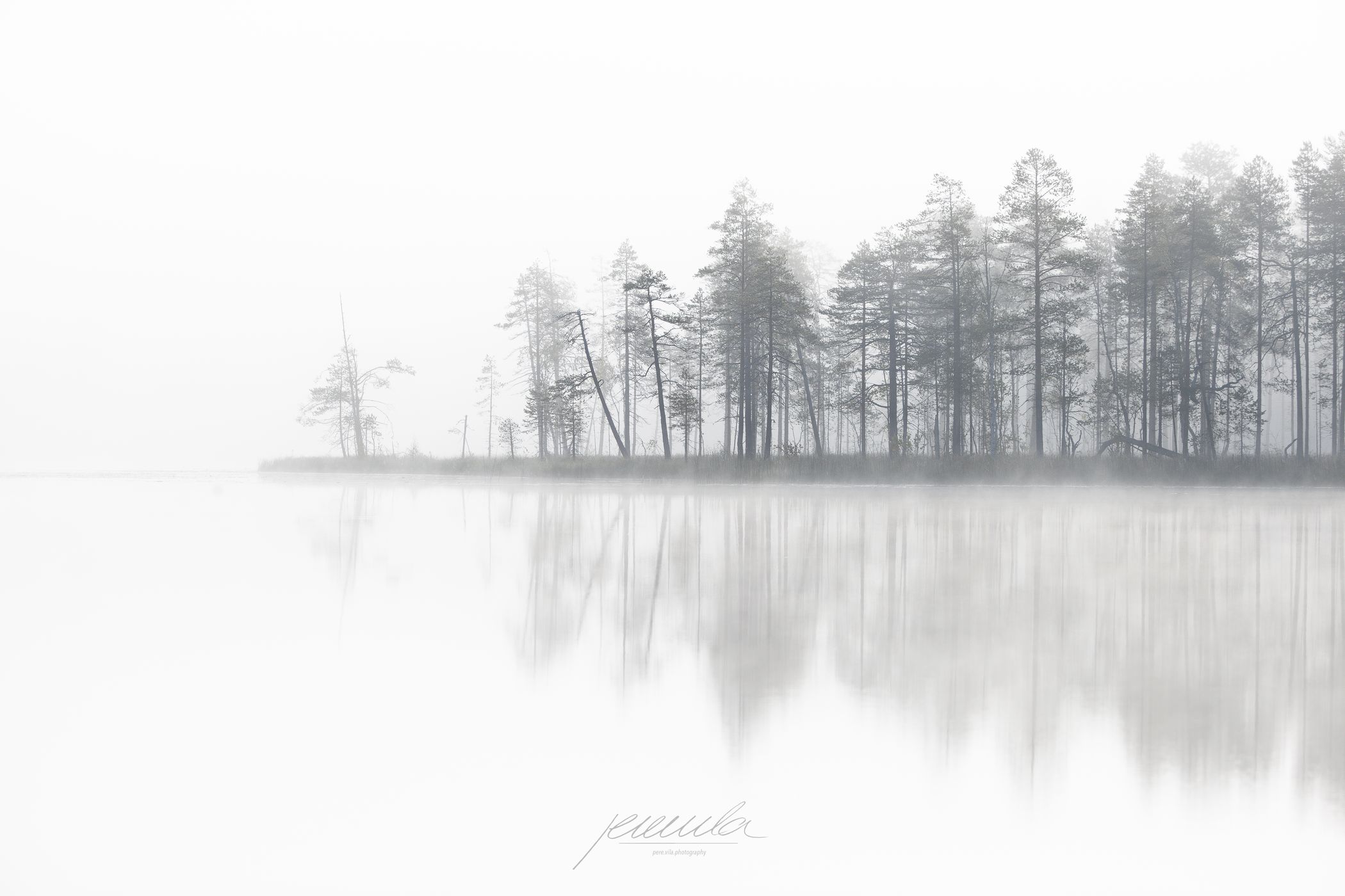 Fog & Forest, Finland