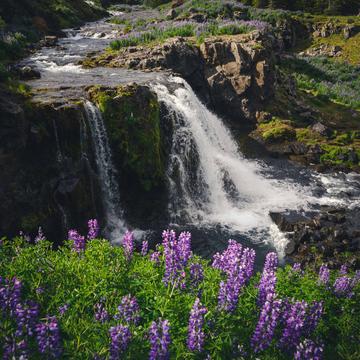 Fossarétt Waterfall, Iceland