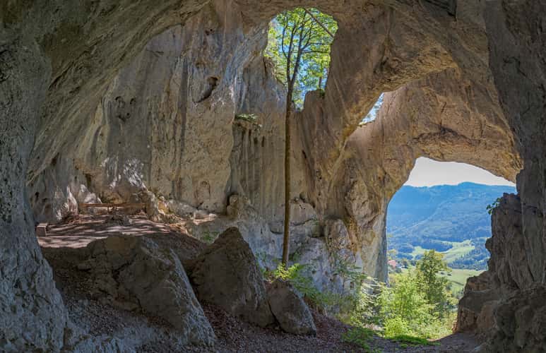 Inside the Bear's Cave