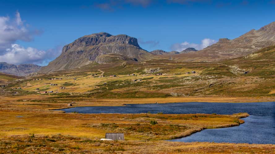 Kråkhamar summer farms