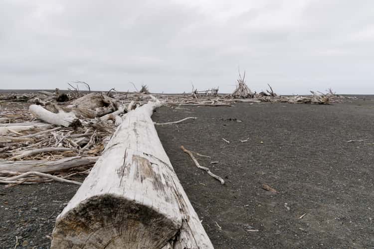 Lake Ferry Beach