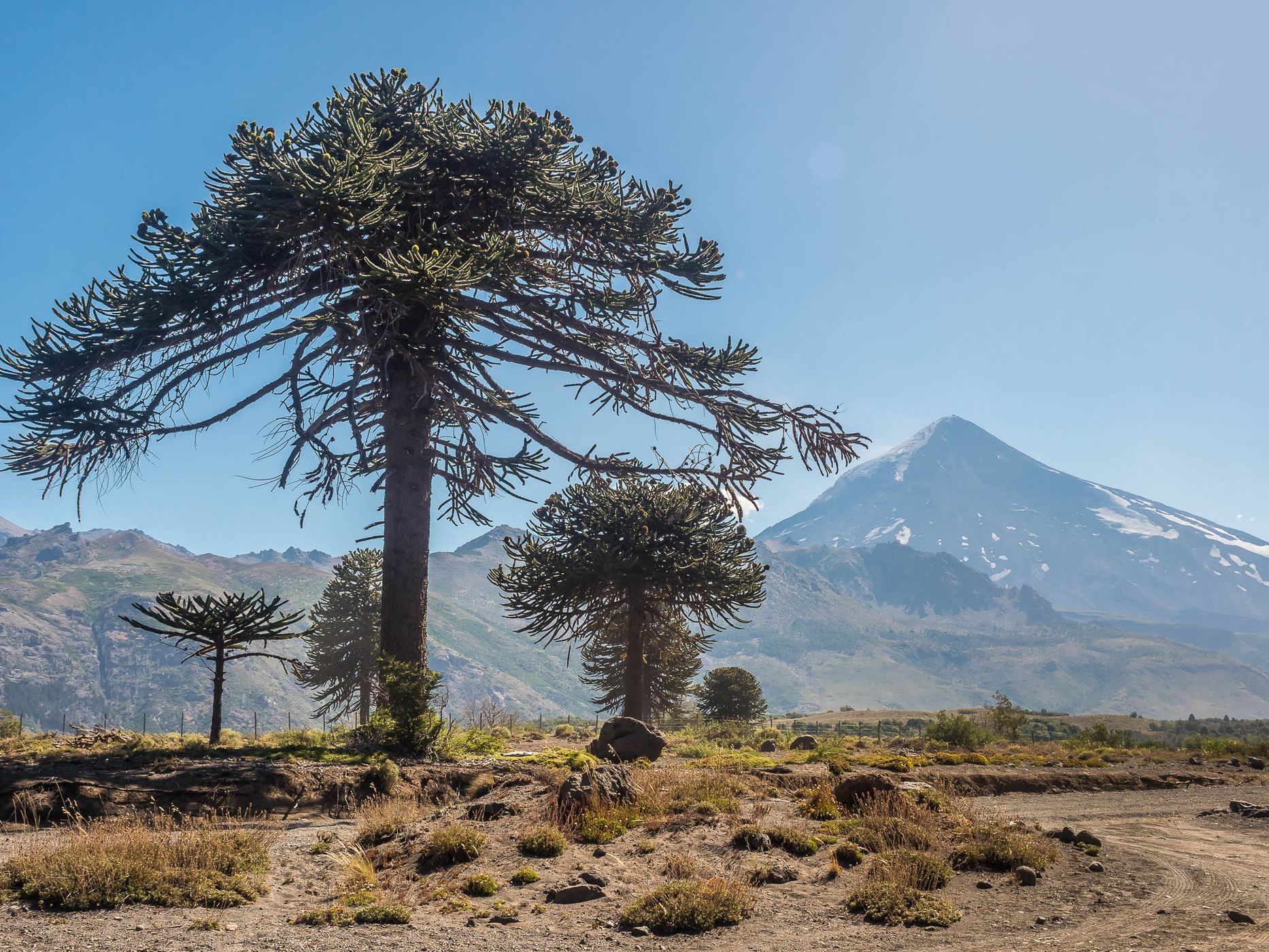 Lanín National Park, Argentina