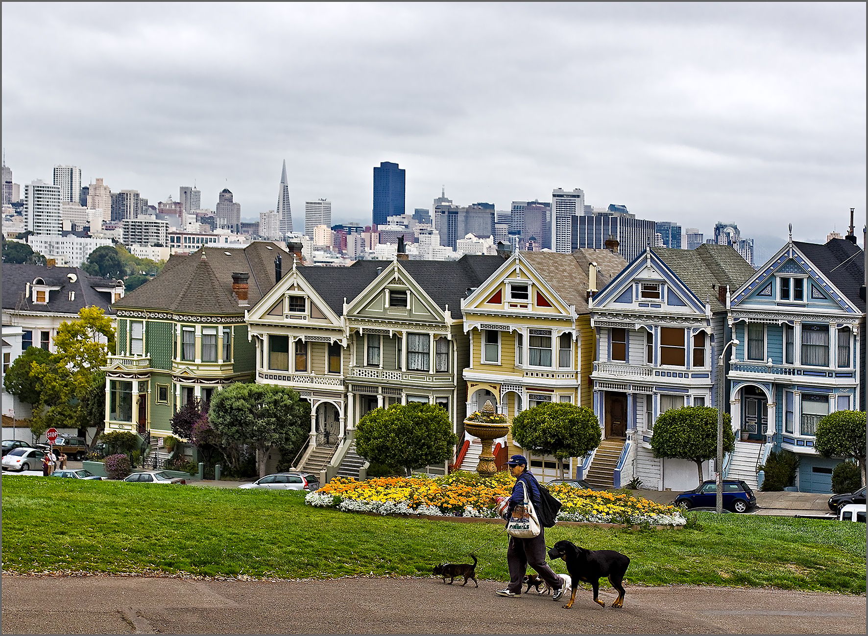 Painted Ladies, Alamo Square, USA