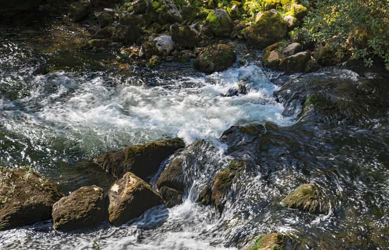 'Rapids' on the Areuse