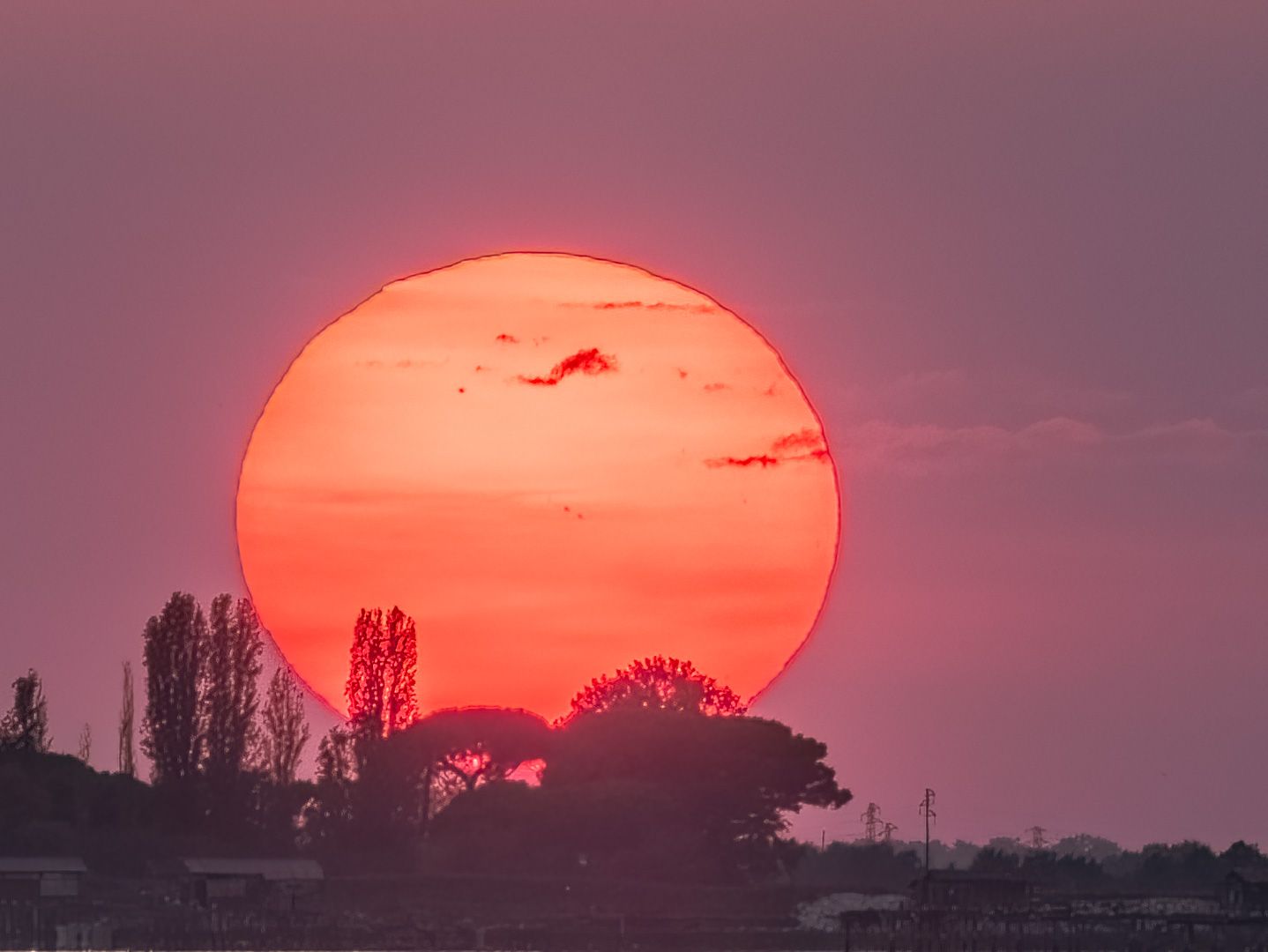 Sacca degli Scardovari, Italy