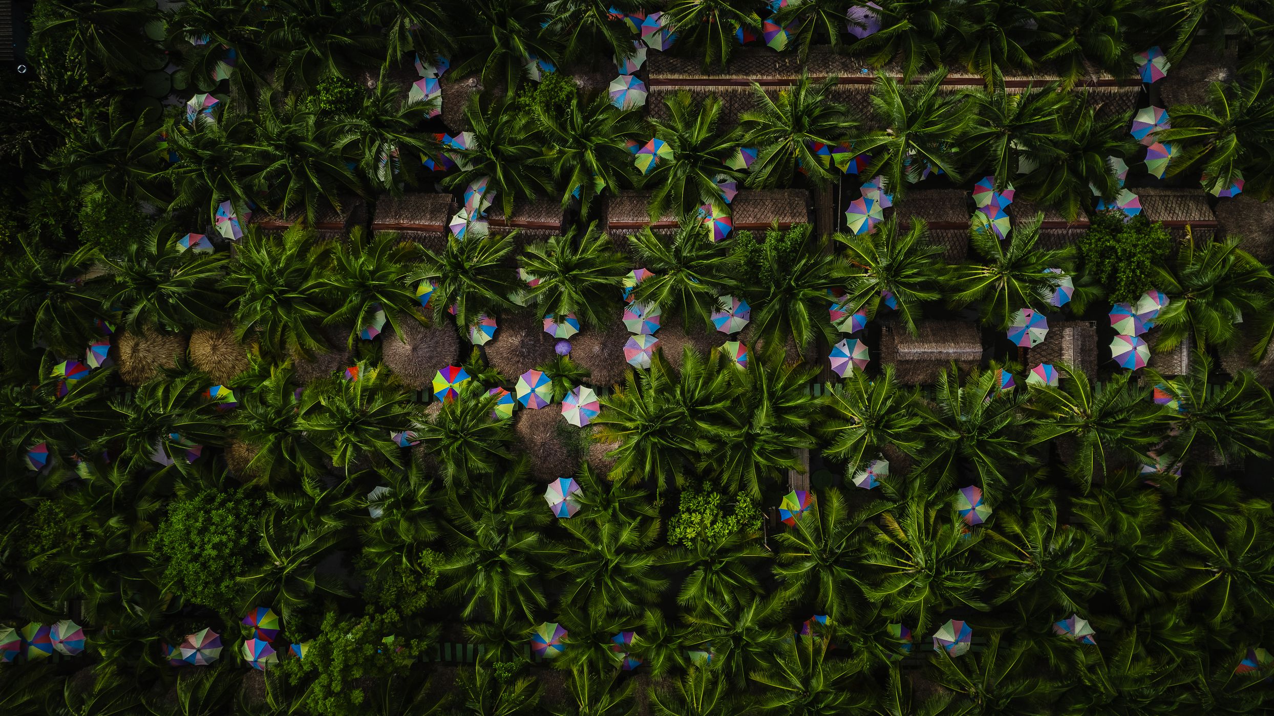Scattered Rainbow Umbrellas, Thailand