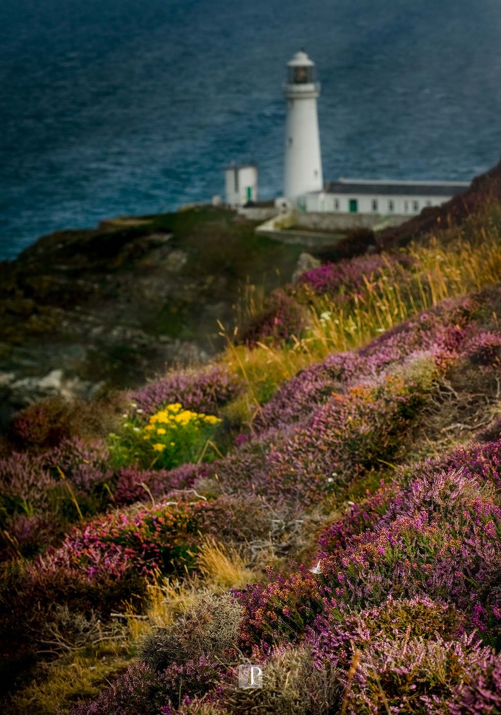 South Stack Lighthouse from Elin's Tower, Wales, United Kingdom