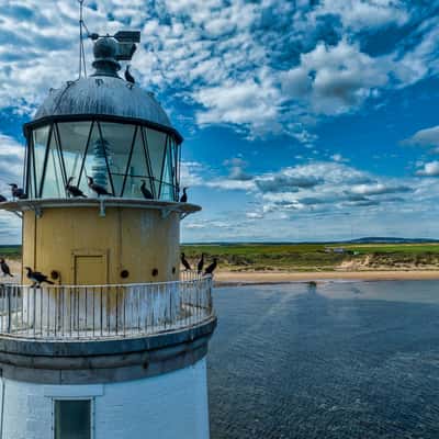 The birds Rattay Head Lighthouse, Scotland, UK, United Kingdom