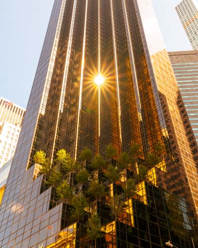 The Trump tower