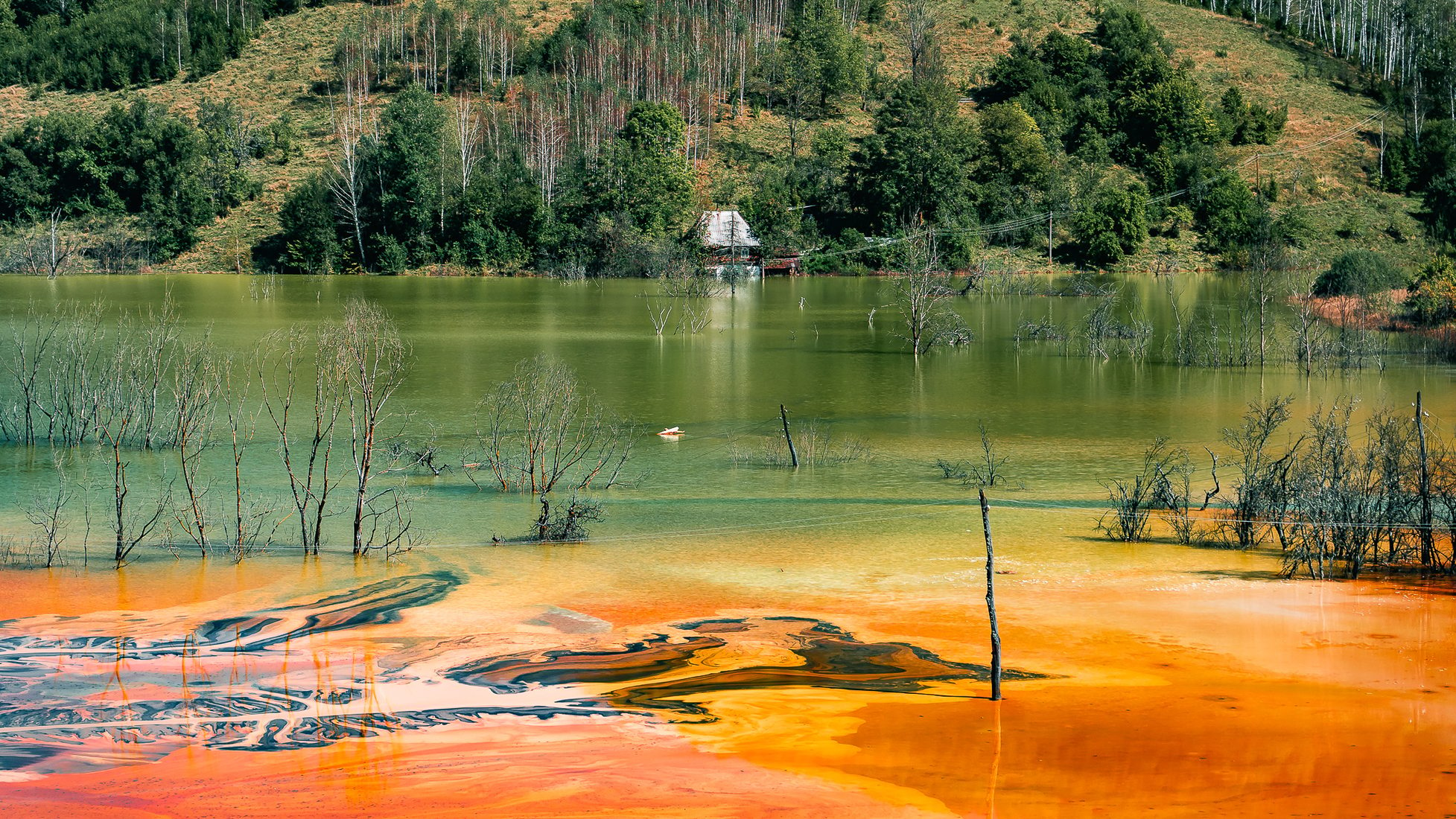 Toxic Lake Of Geamăna, Romania, Romania