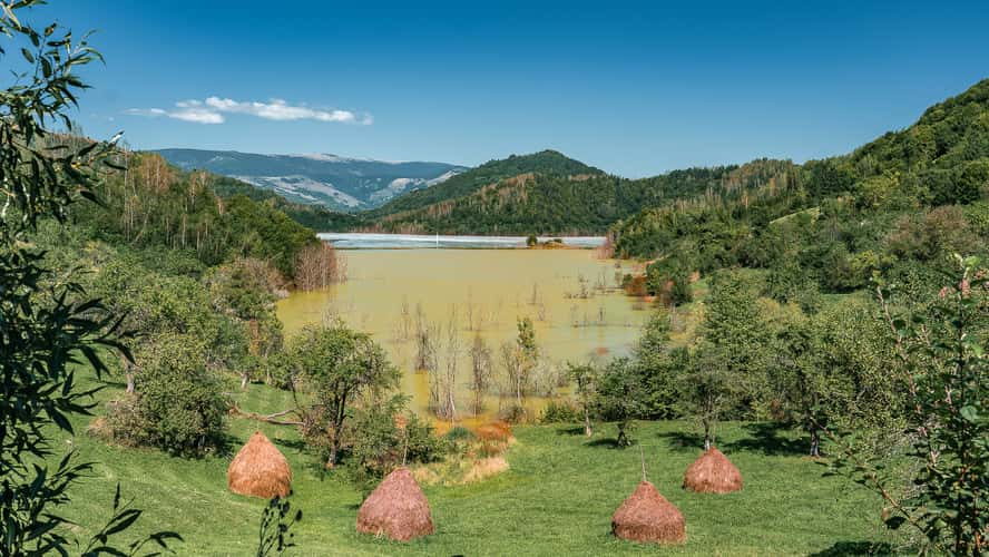 Toxic Lake Of Geamăna, Romania