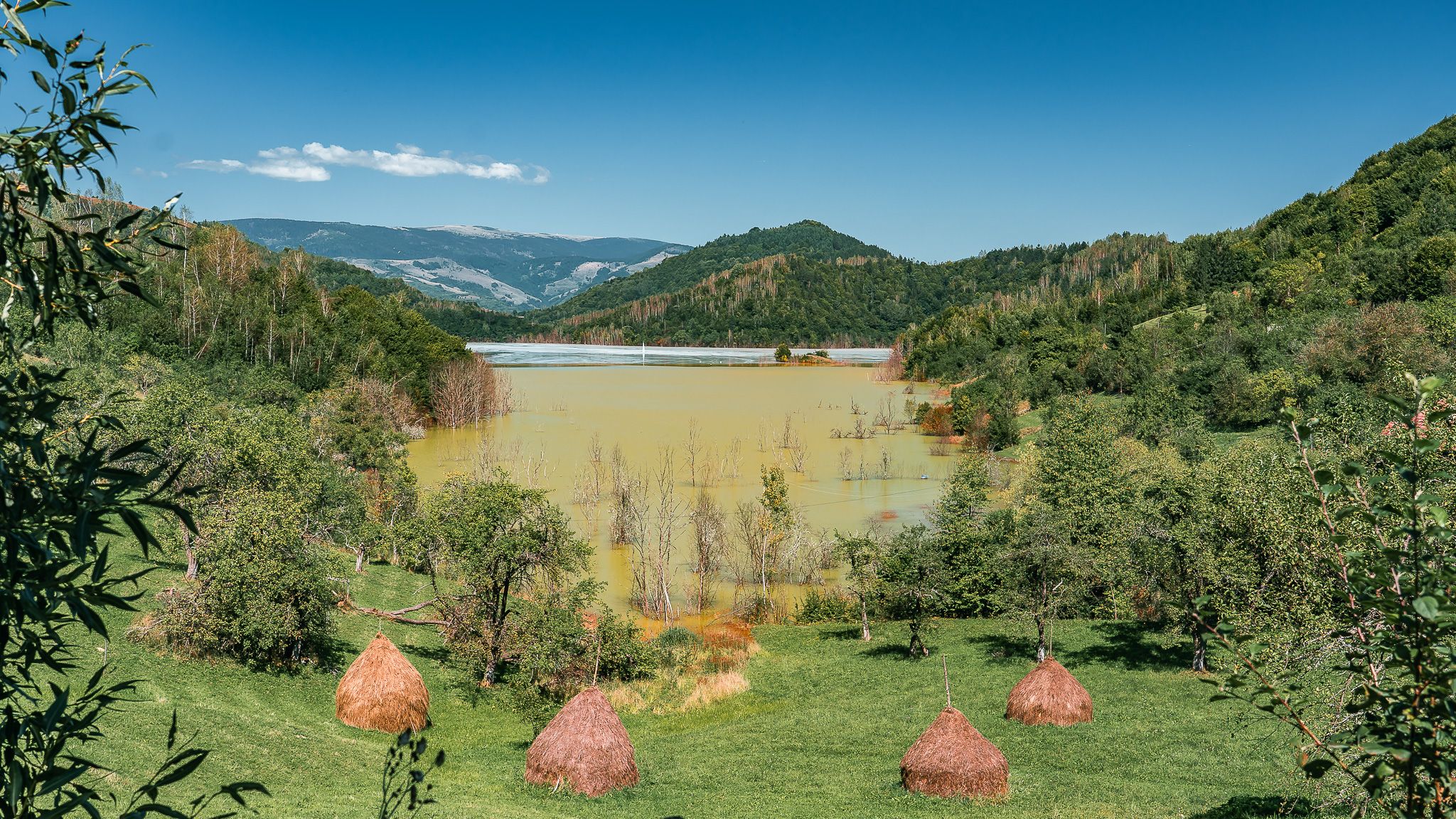 Toxic Lake Of Geamăna, Romania, Romania