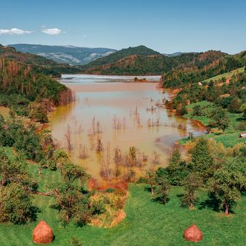 Toxic Lake Of Geamăna, Romania, Romania