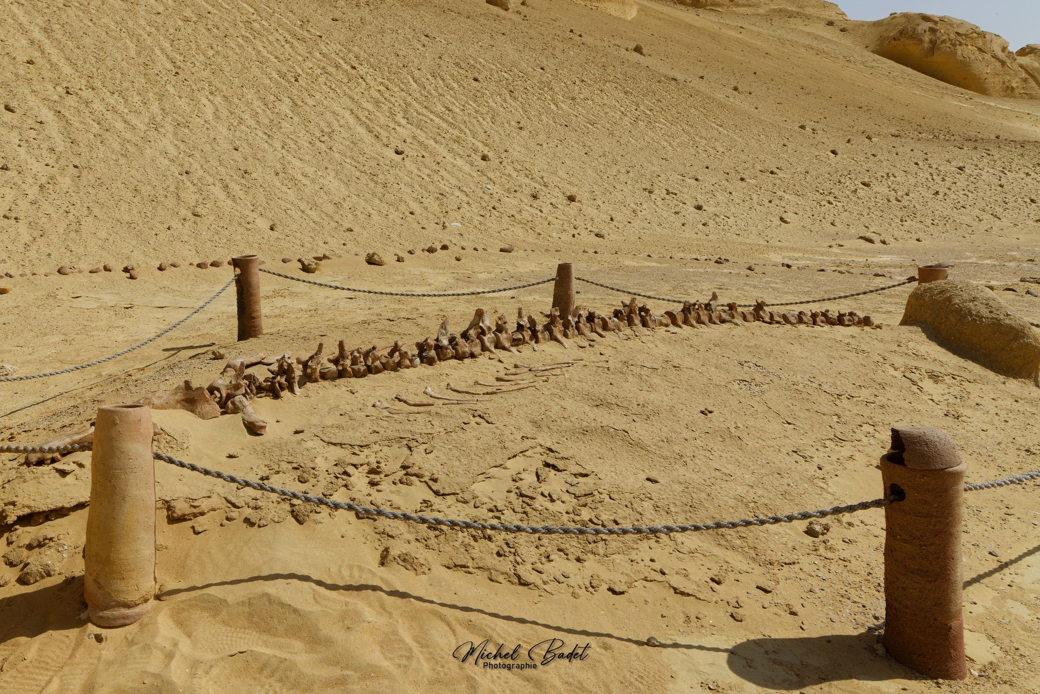 Wadi Hitan National Park - Valley of whales, Egypt