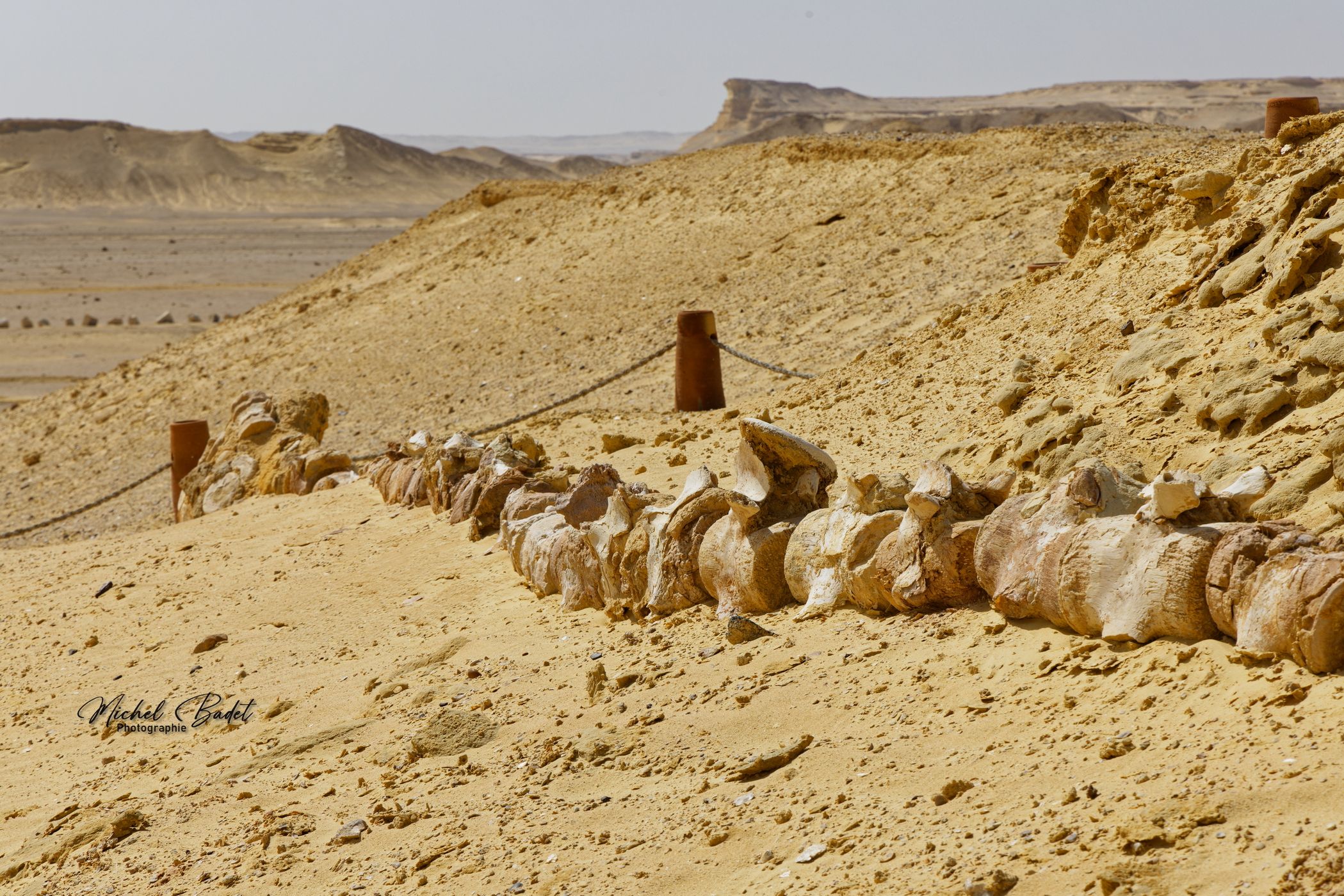 Wadi Hitan National Park - Valley of whales, Egypt