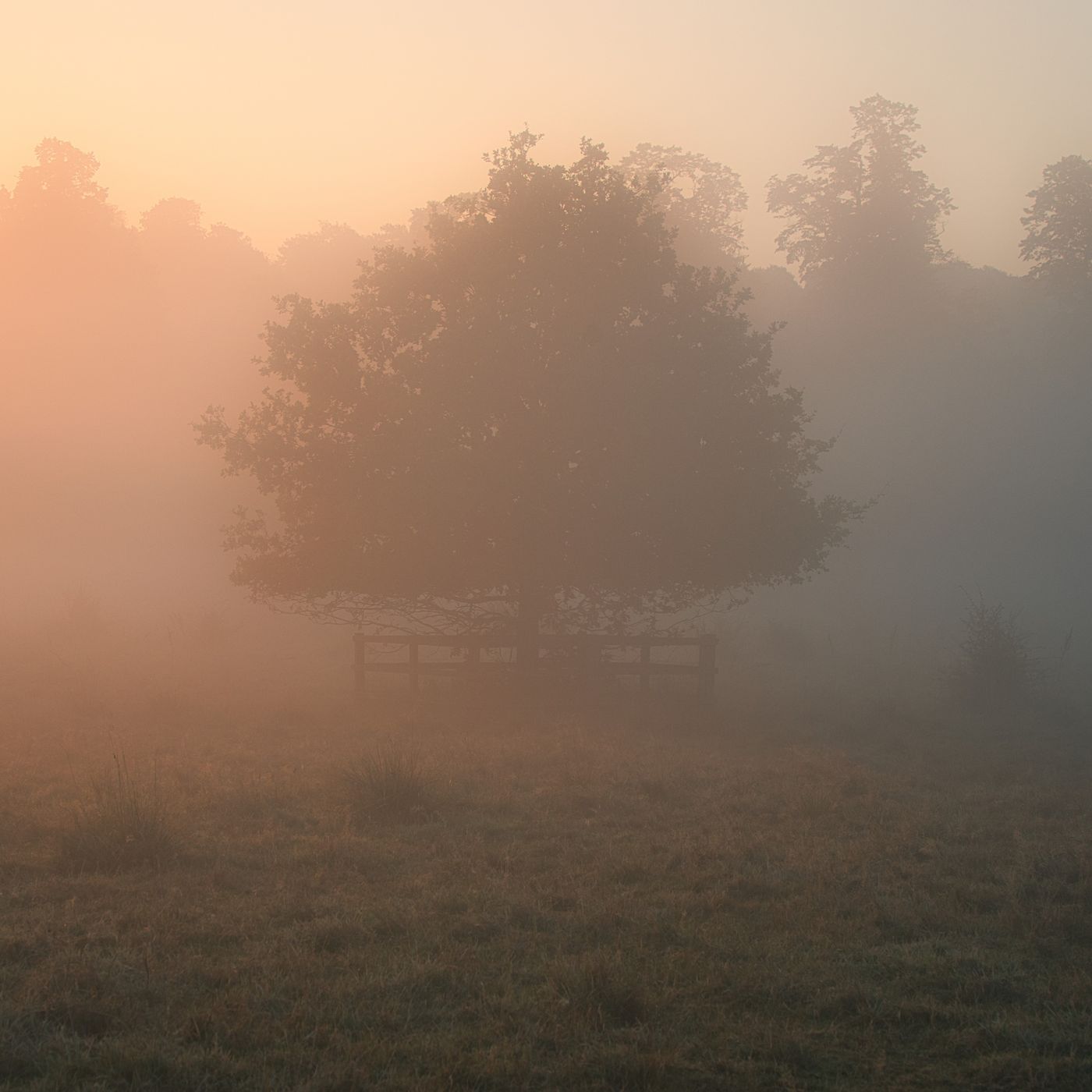 Warlies Park, United Kingdom