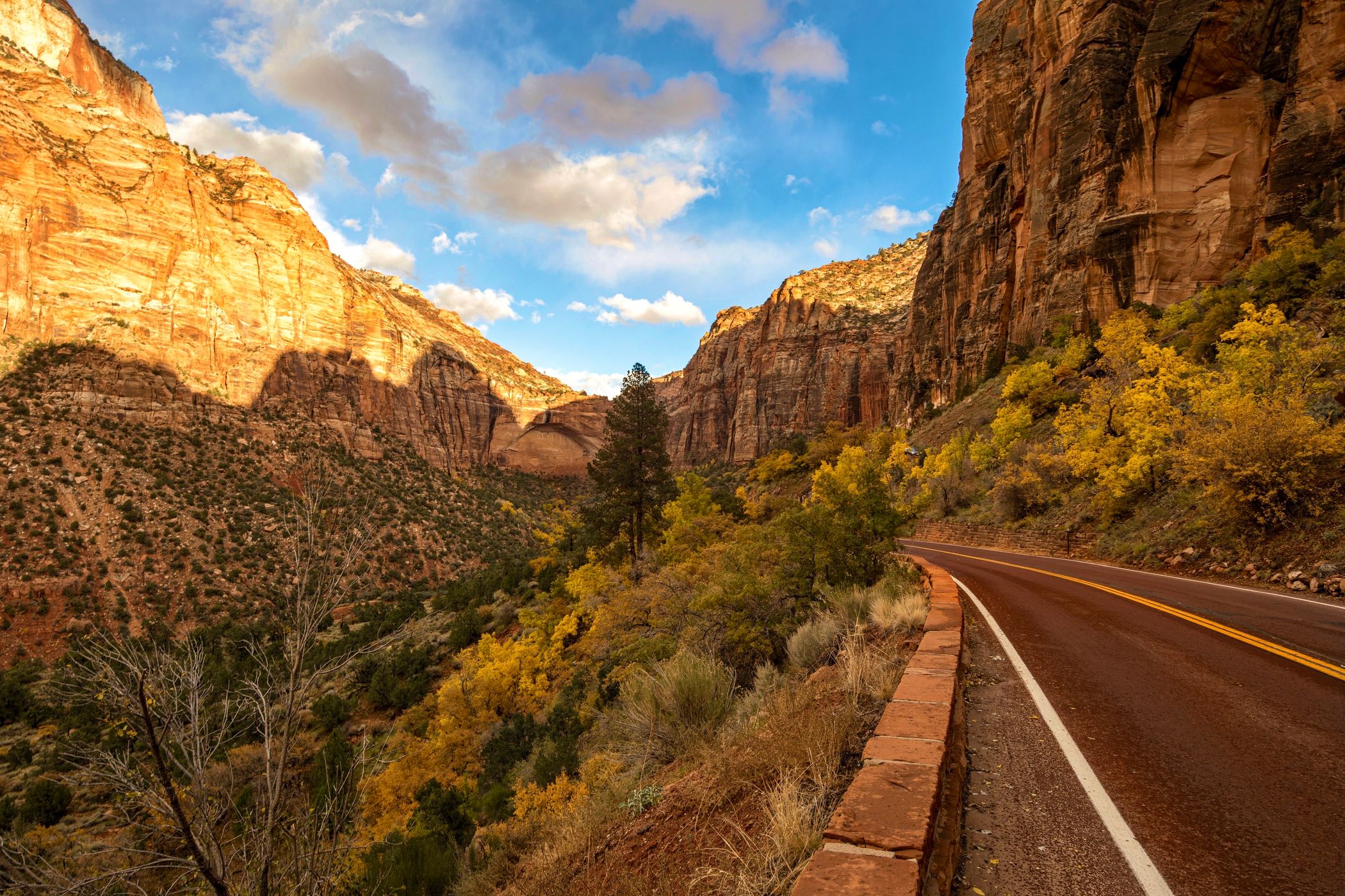 Zion Switchbacks, USA