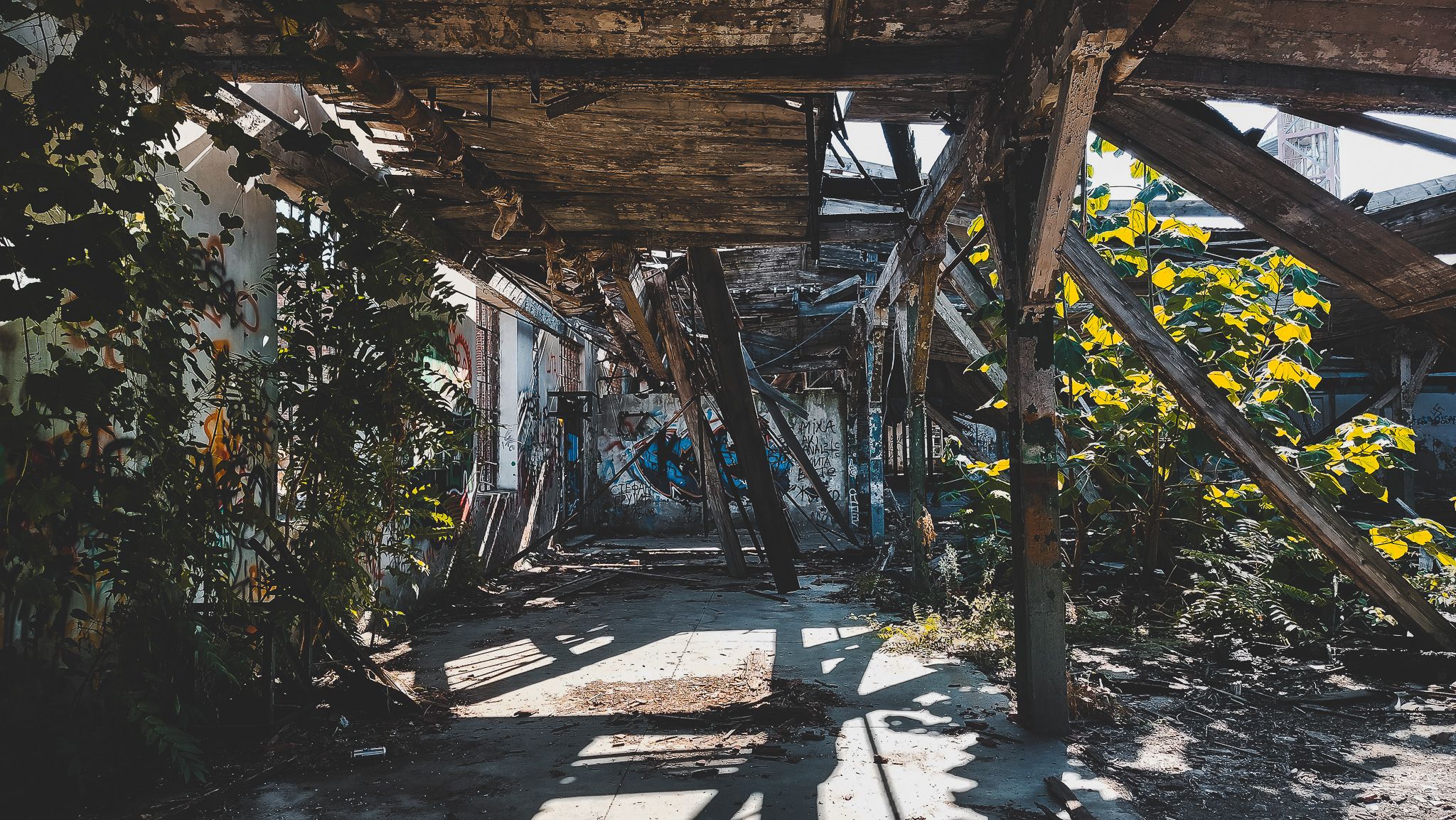 Abandoned Factory, Serbia, Serbia