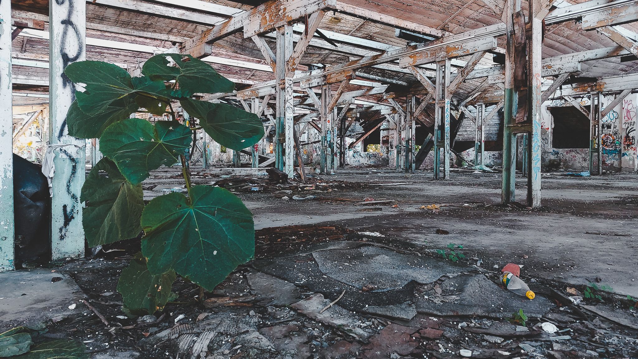 Abandoned Factory, Serbia, Serbia