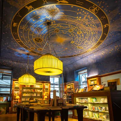 Albertine book store, USA