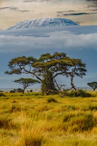 Amboseli National Park with Kilimanjaro