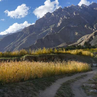 Around Askole, Pakistan