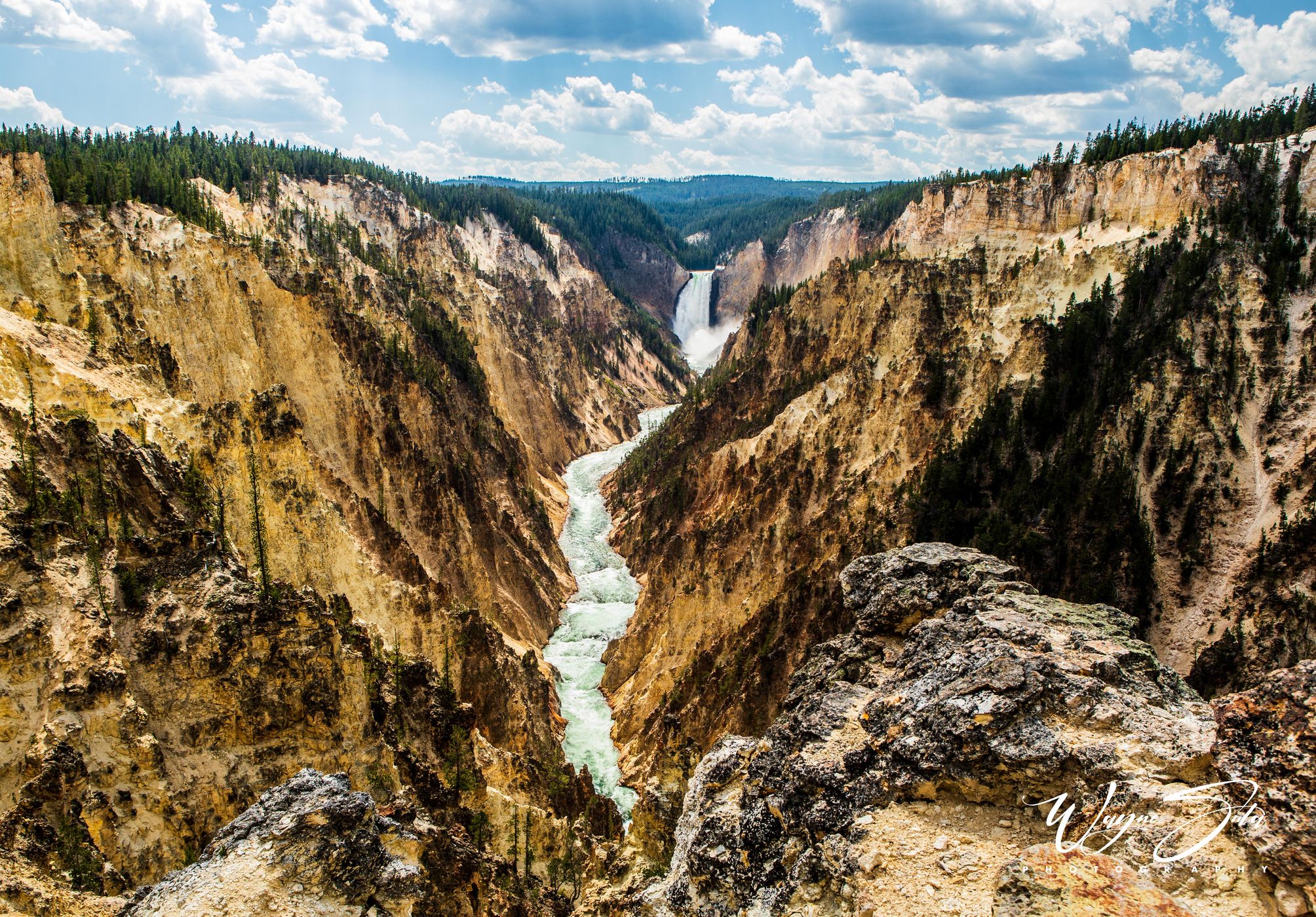 View from the Artist Point in the Yellowston National Park, USA