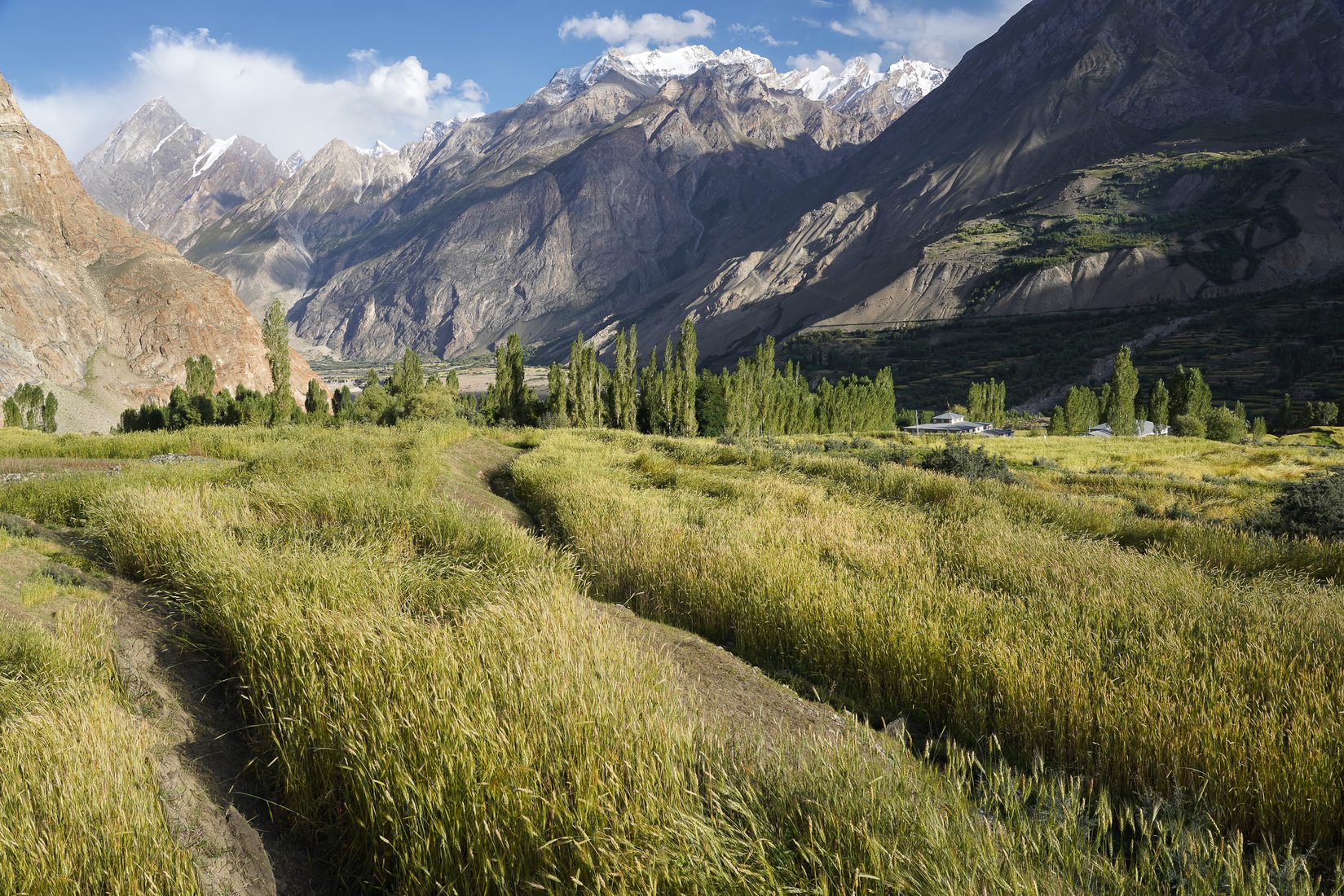 Askole fields, Pakistan