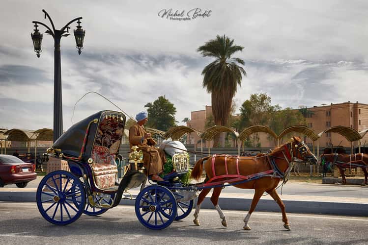 Banks of the Nile in Luxor