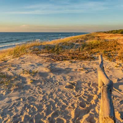 Beach with dunes on the Curonian Spit, Lithuania