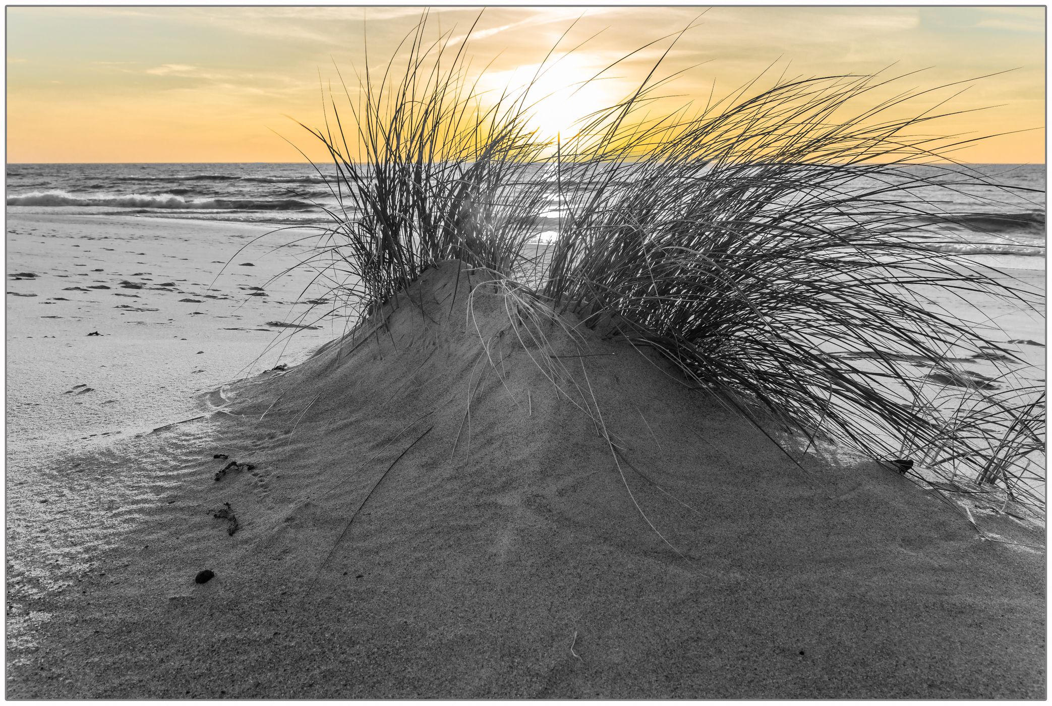 Beach with dunes on the Curonian Spit, Lithuania